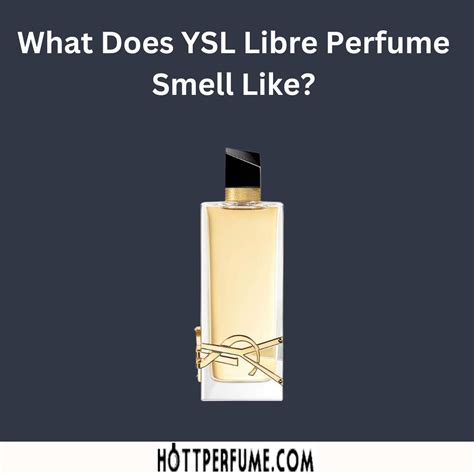 what does ysl|what does ysl smell like.